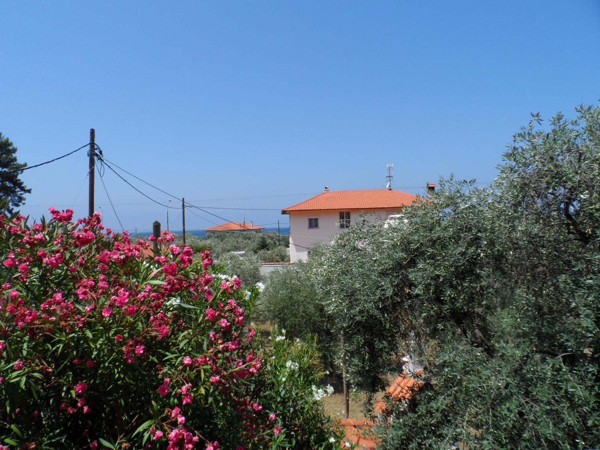 Amarilia Aparthotel Skala Rachoni  Exterior foto