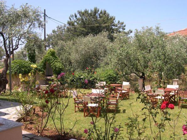 Amarilia Aparthotel Skala Rachoni  Exterior foto